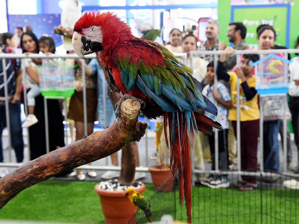 Pets_20Exhibition_20Events_20in_20Hyderabad_20Photos_3.jpg 3