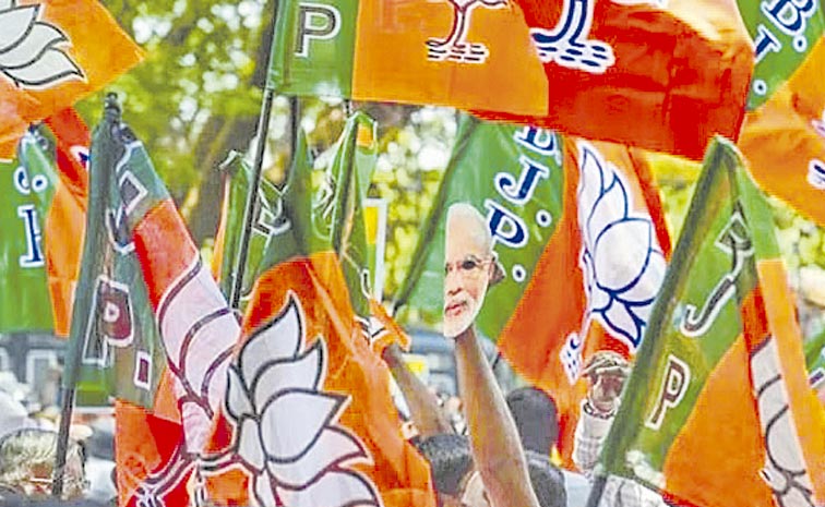 BJP-FLAGS-3.jpg