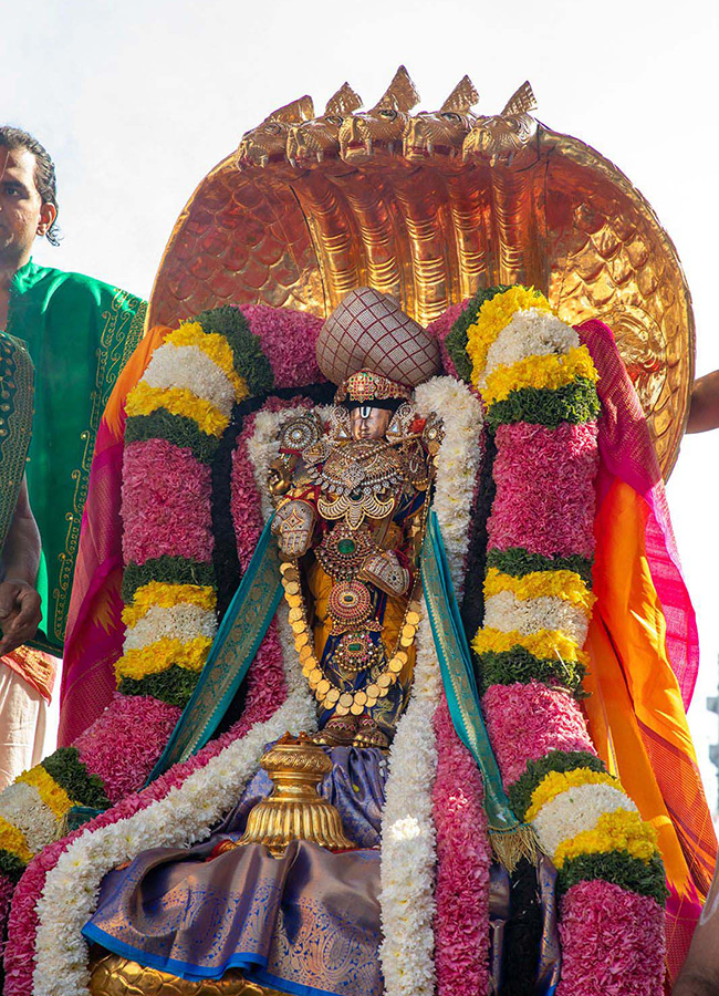 Ratha_20Saptami_202025_20Celebrations_20in_20Tirumala_20Photos__20_2817_29.jpg 17