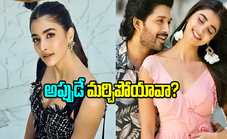 poojahegde.jpg