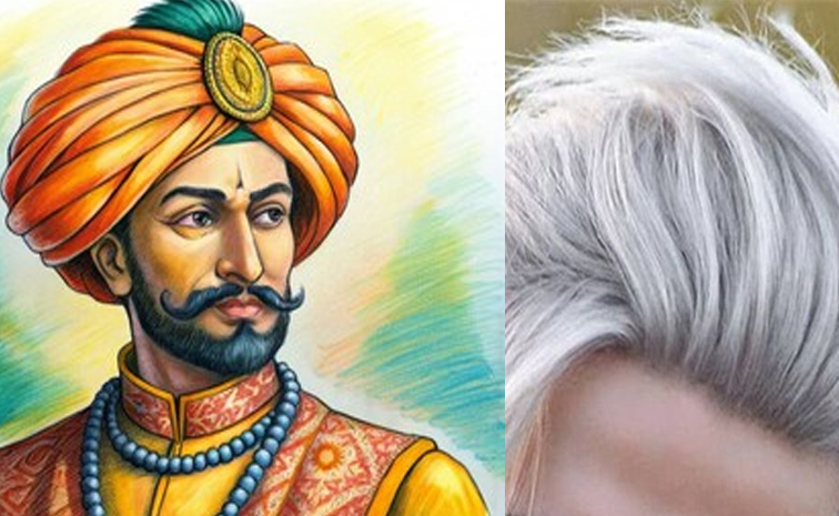 whitehair-story.jpg