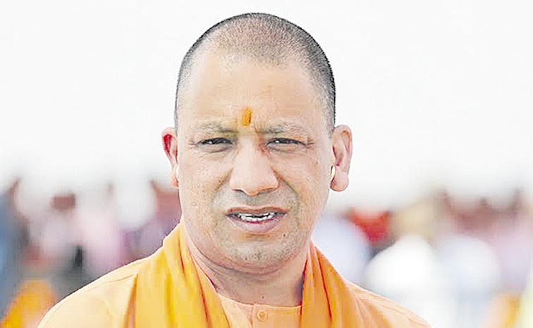 YOGI.jpg
