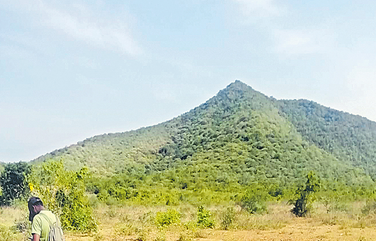 guttalu.jpg
