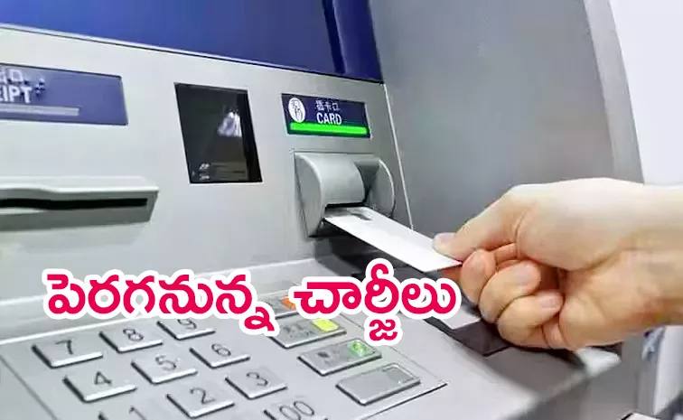 rbi01.jpg