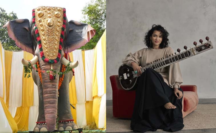 sitar.jpg