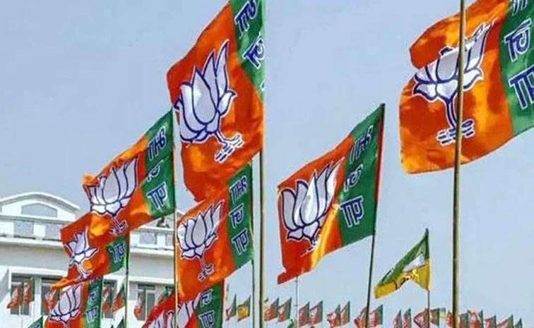bjp.jpg