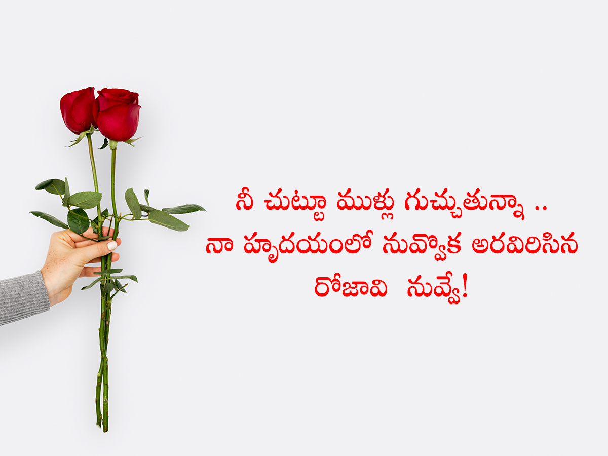 Happy_20Rose_20Day_20Quotes_20To_20Wish_20Your_20Valentine__20_283_29.jpg 3