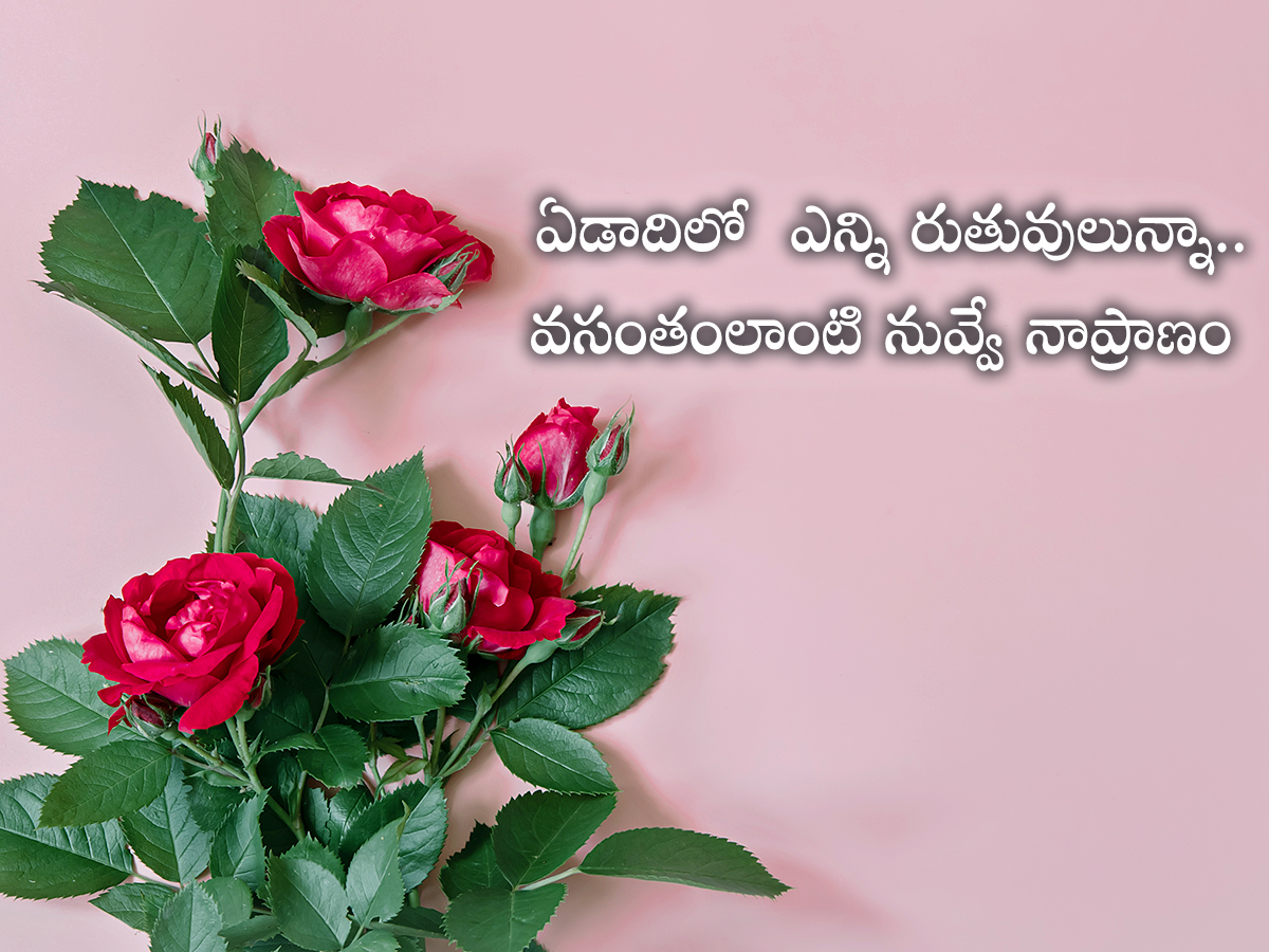 Happy_20Rose_20Day_20Quotes_20To_20Wish_20Your_20Valentine__20_284_29.jpg 4