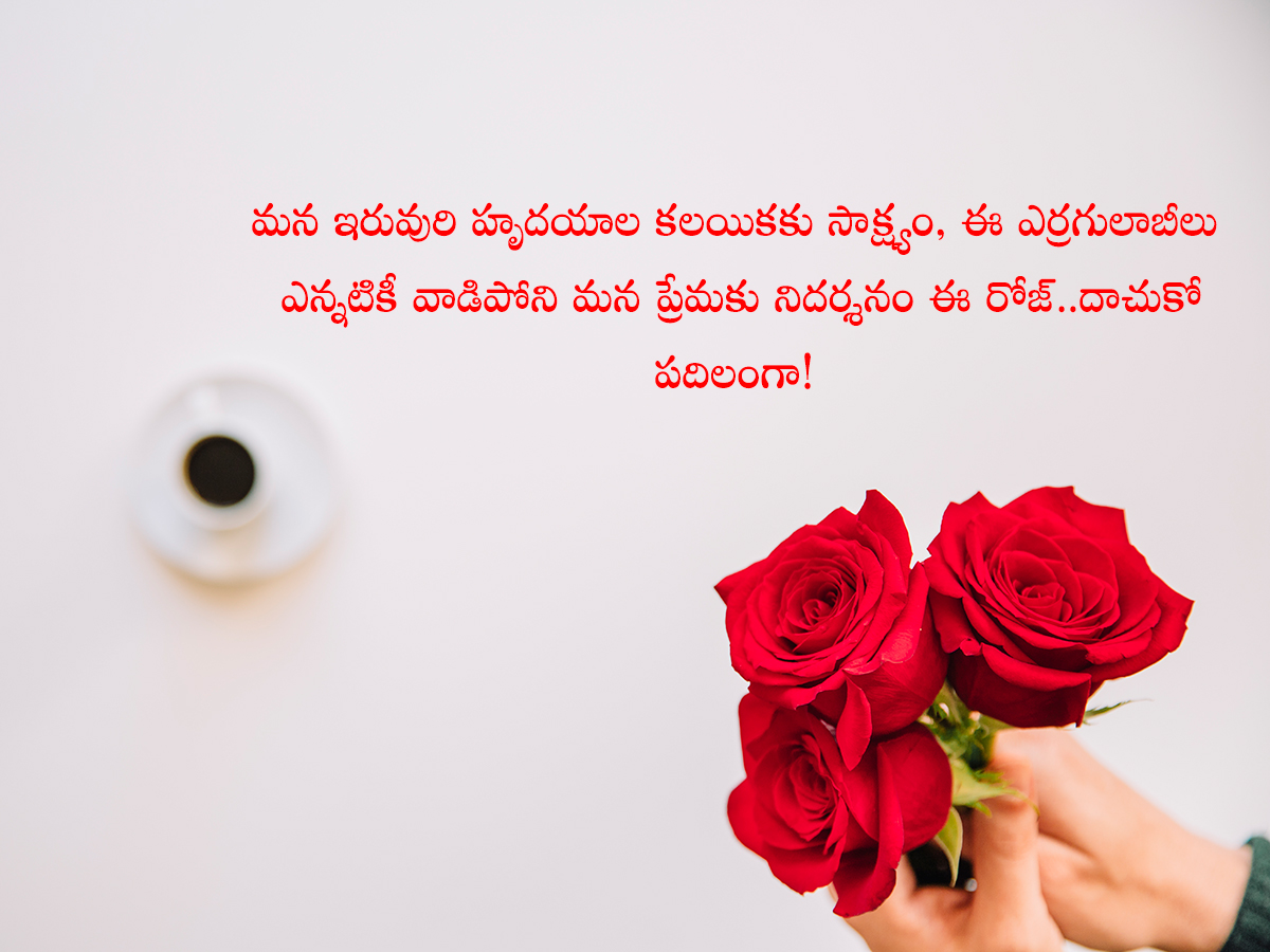Happy_20Rose_20Day_20Quotes_20To_20Wish_20Your_20Valentine__20_286_29.jpg 6