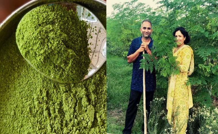 moringa.jpg