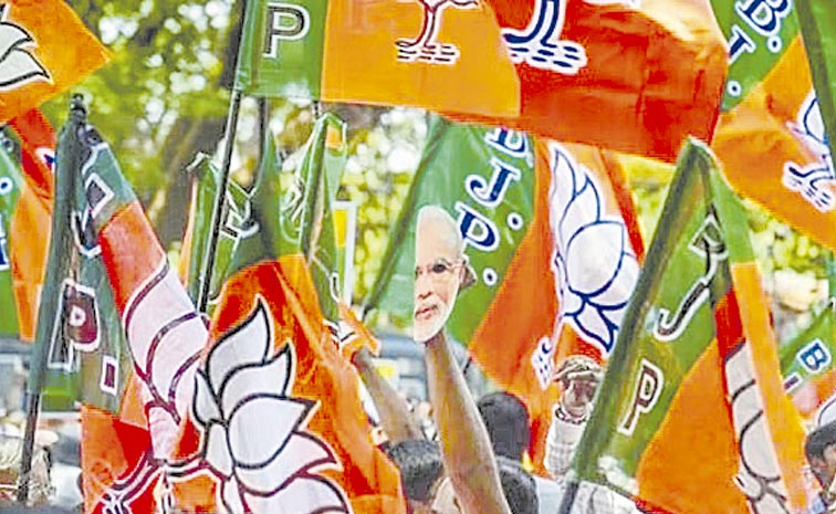BJP-FLAGS-3.jpg