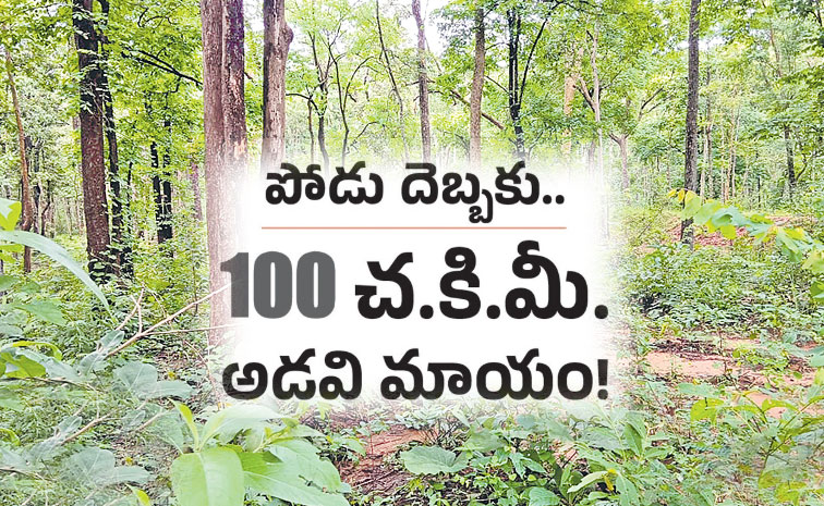 Telangana-Forests.jpg