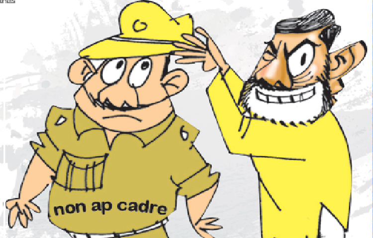 ap_20cader.jpg