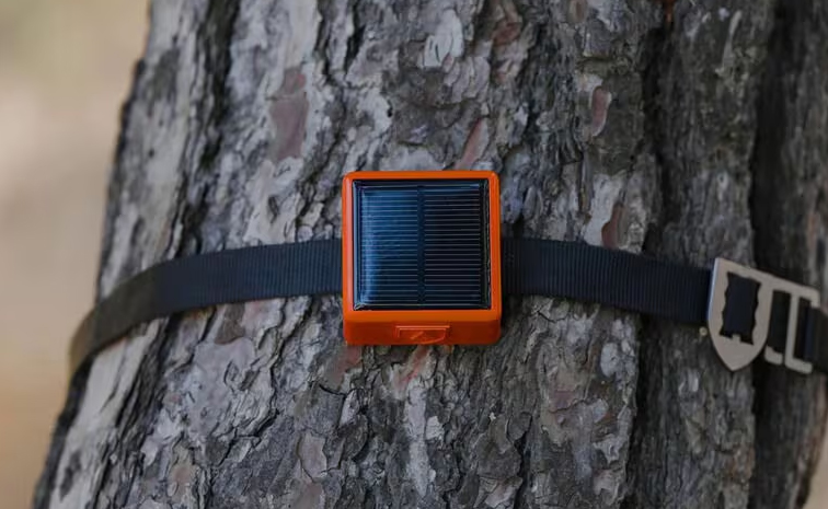 forest-guard-2.0-details.jpg