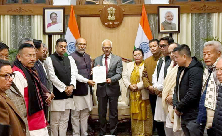 Manipur_20cm.jpg