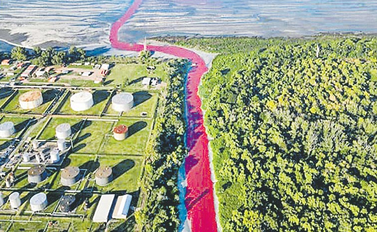 RIVER-TURNS-RED.jpg