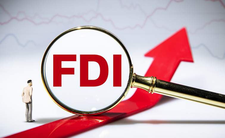 fdi.jpg