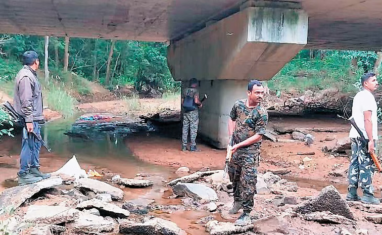 encountergadchiroli.jpg