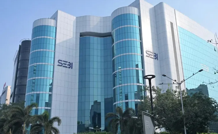 sebi01.jpg