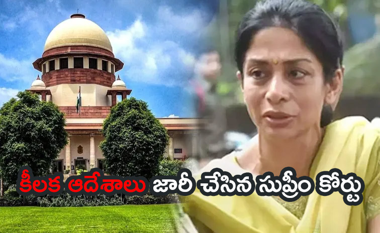 Sheena-Bora-Case.jpg