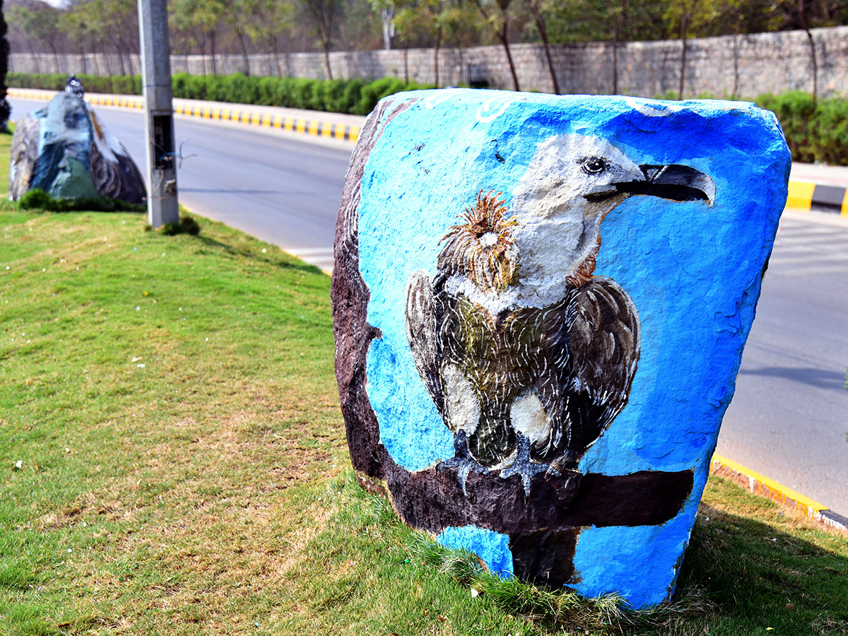 Wild_20Animals_20paintings_20on_20Hyderabad_20Roads_20By_20GHMC__20_285_29.jpg 5