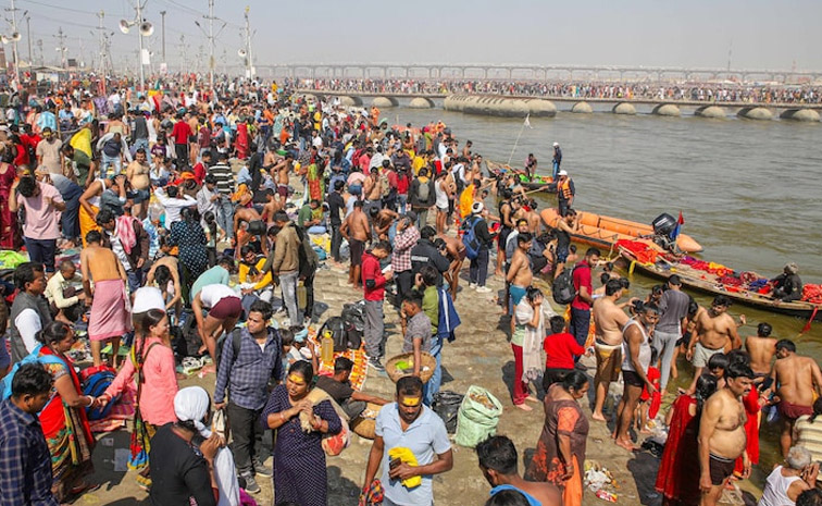 mela-main.jpg