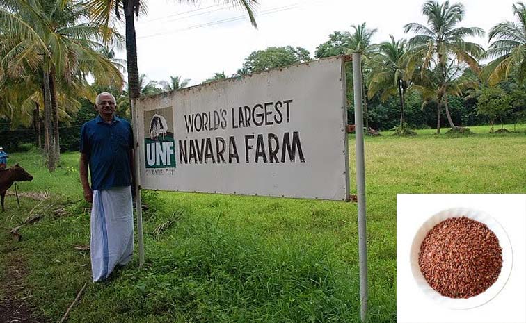 narvar.jpg