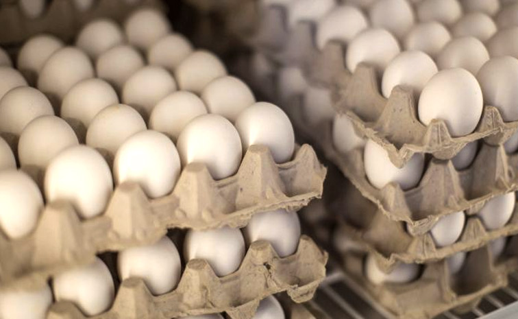 egg.jpg