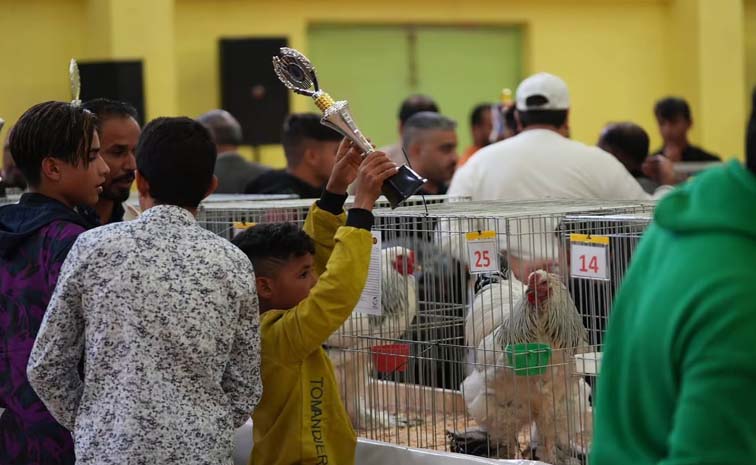 chick1.jpg