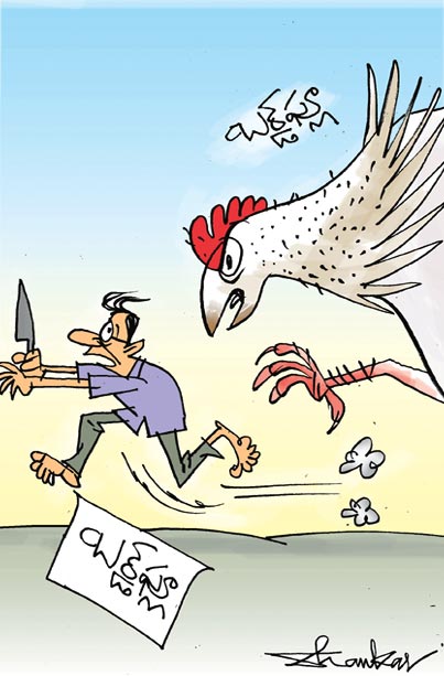 sakshi-c.jpg