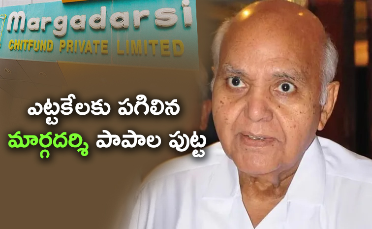 Margadarsi-Fraud-Case.jpg