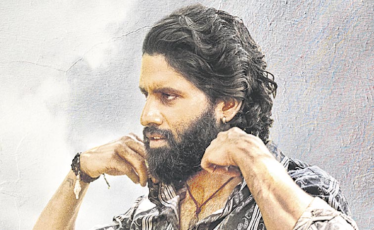 nag.jpg