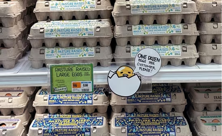 useggs.jpg