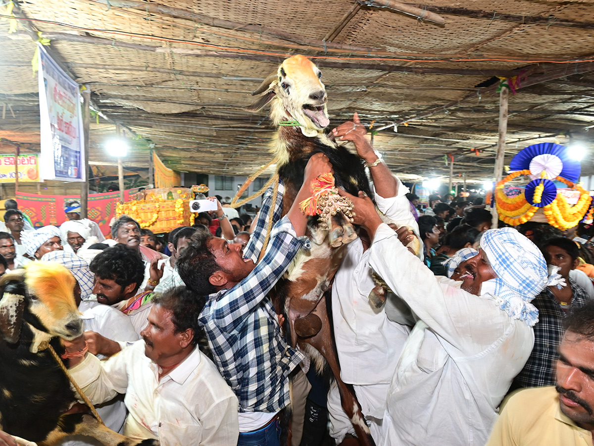 Devotees_20Rush_20at_20Durajpally_20Peddagattu_20Jatara_202025_20Photos__20_2821_29.jpg 21