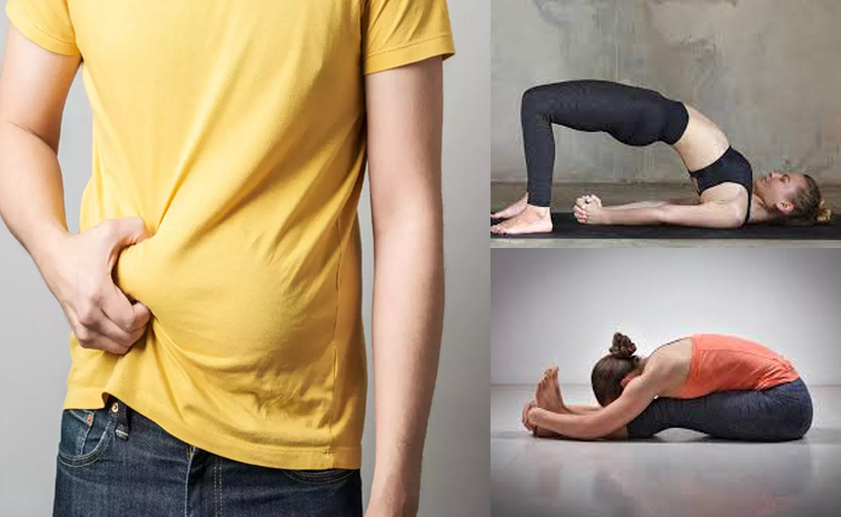 bellyfat-yogasana.jpg