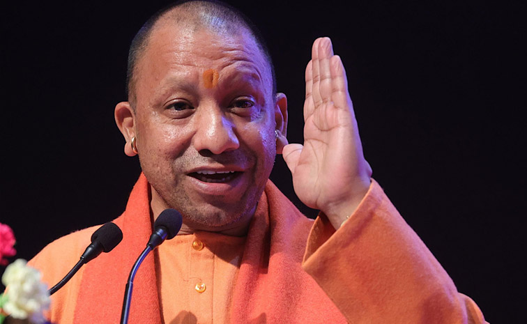 cm-yogi-main.jpg