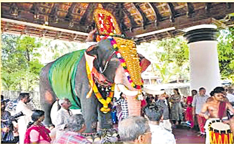 elephant.jpg