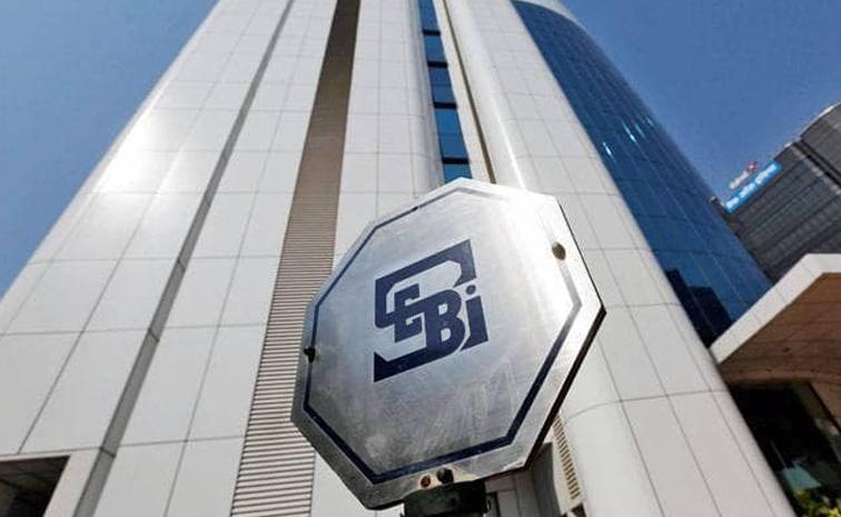 sebi.jpg