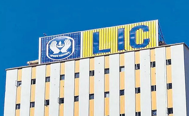 lic.jpg