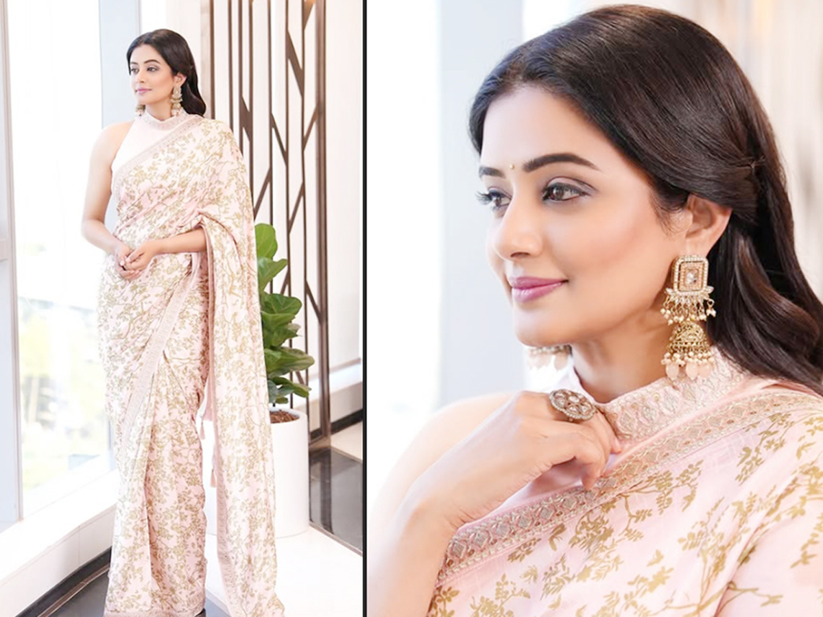 Priyamani_20stuns_20in_20a_20pink_20saree_20photos_20_2812_29.jpg 1