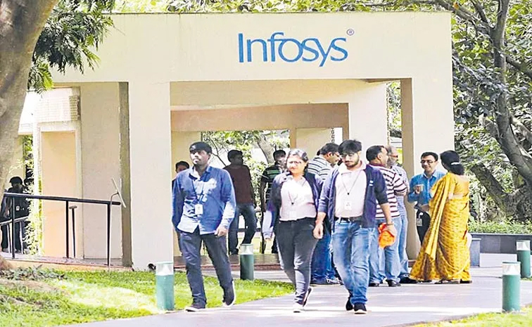 infy01.jpg