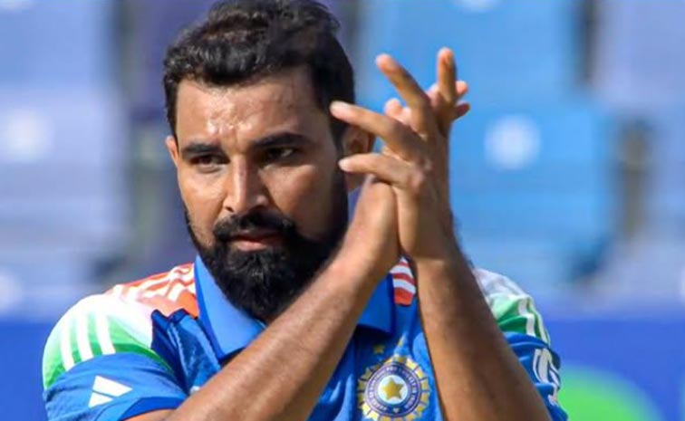 shami.jpg