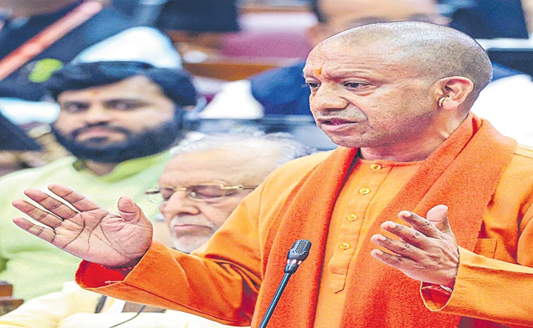 yogi.jpg