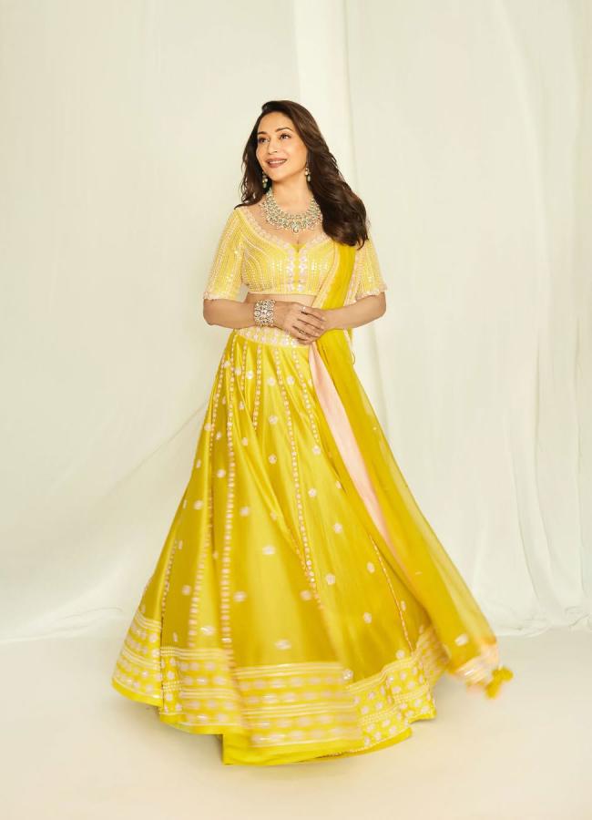 Madhuri_20Dixit_20Stunning_20Look_20As_20Young_20For_20Photo_20Shoot_20_283_29.jpg 9
