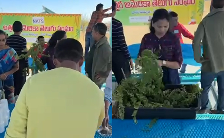 Nats-organicfarming.jpg