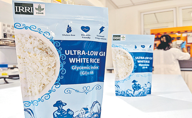 RICE.jpg