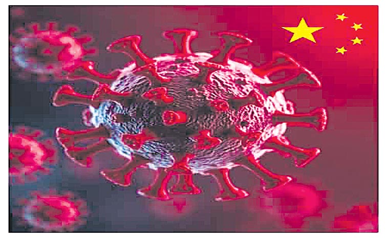 VIRUS.jpg