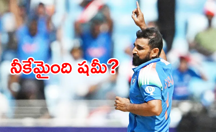 Shami-Bowls-5-Wides.jpg