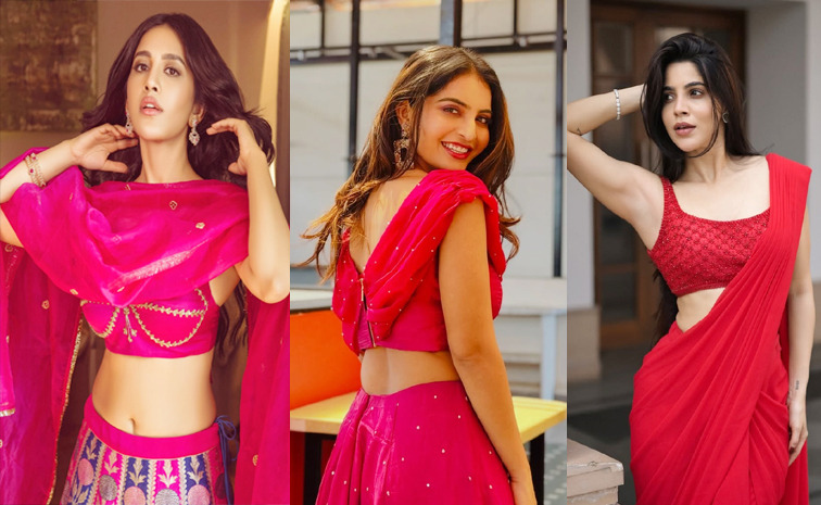 ananya-nabha.jpg
