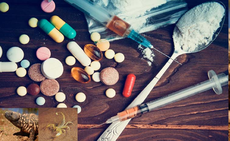 drugs.jpg